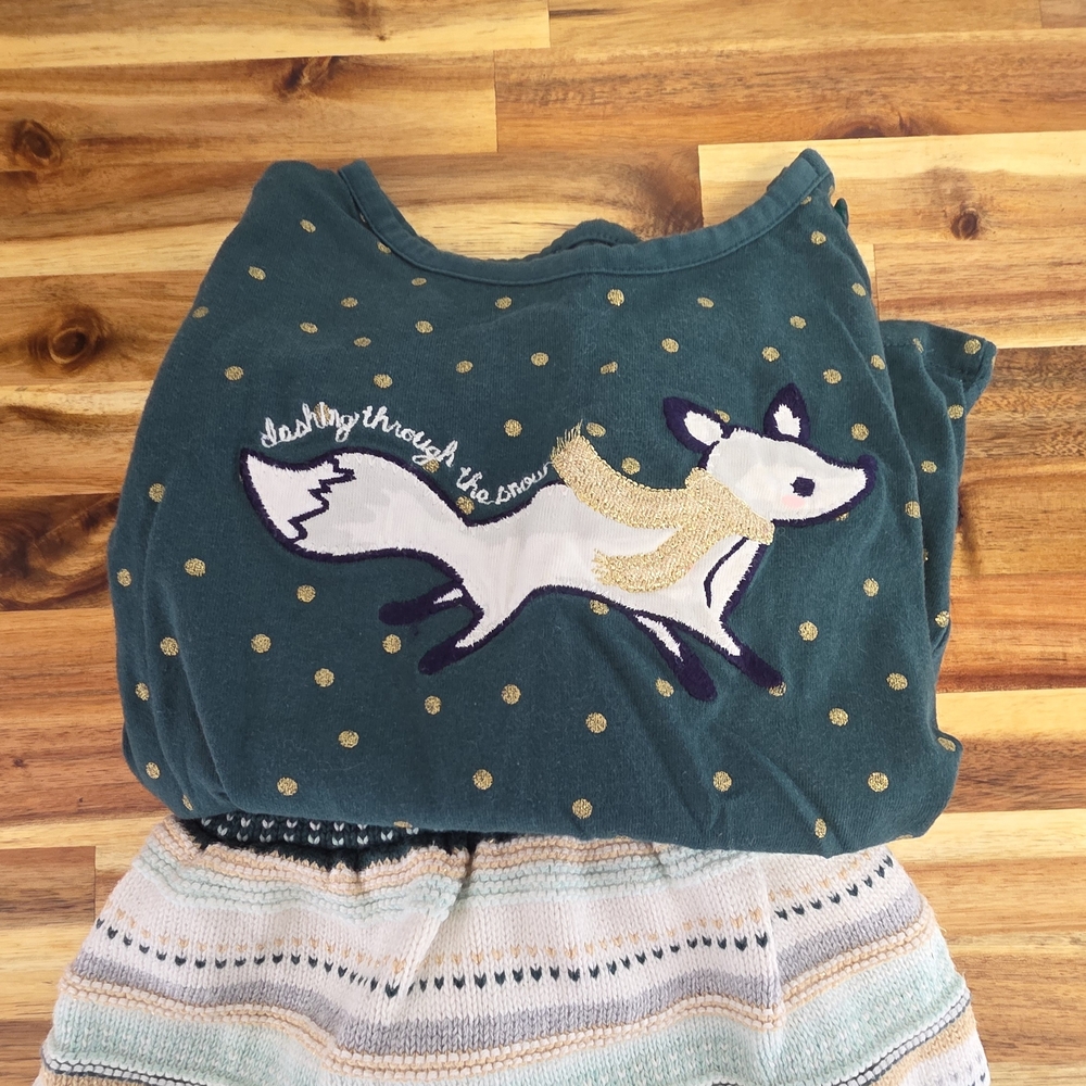 Gymboree Green and Gold Fox Kids Matching Set